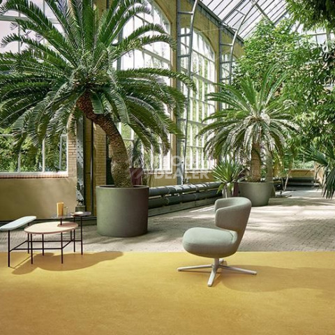 Forbo Marmoleum Decibel on Order 325935 mustard фото 2 | FLOORDEALER